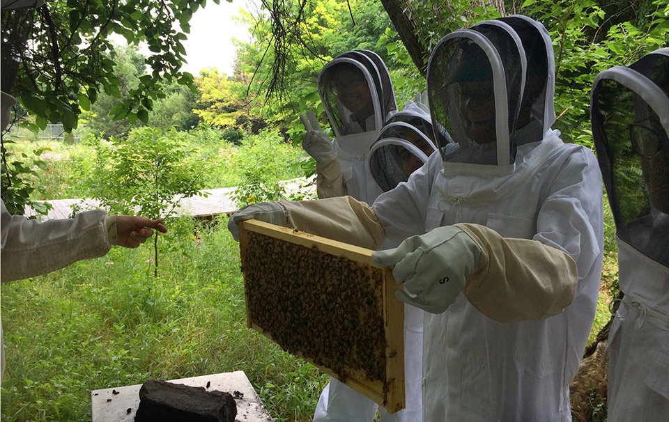 布鲁克林海军公墓景观丨美国纽约-41