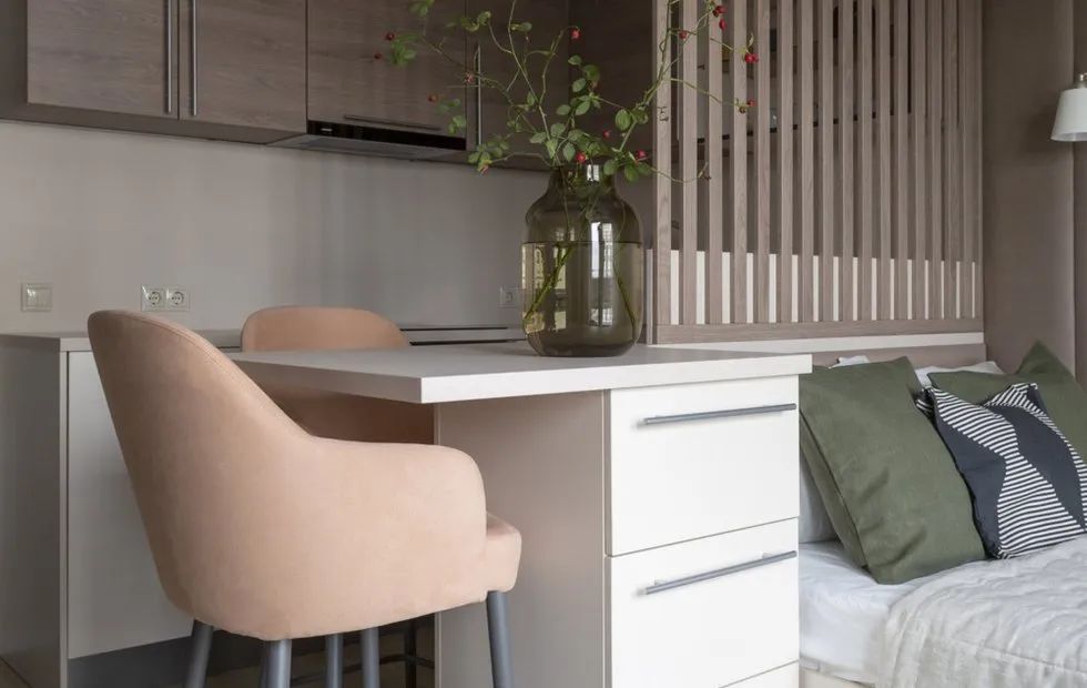 23㎡全能蜗居设计丨Anna Smolyakova-0