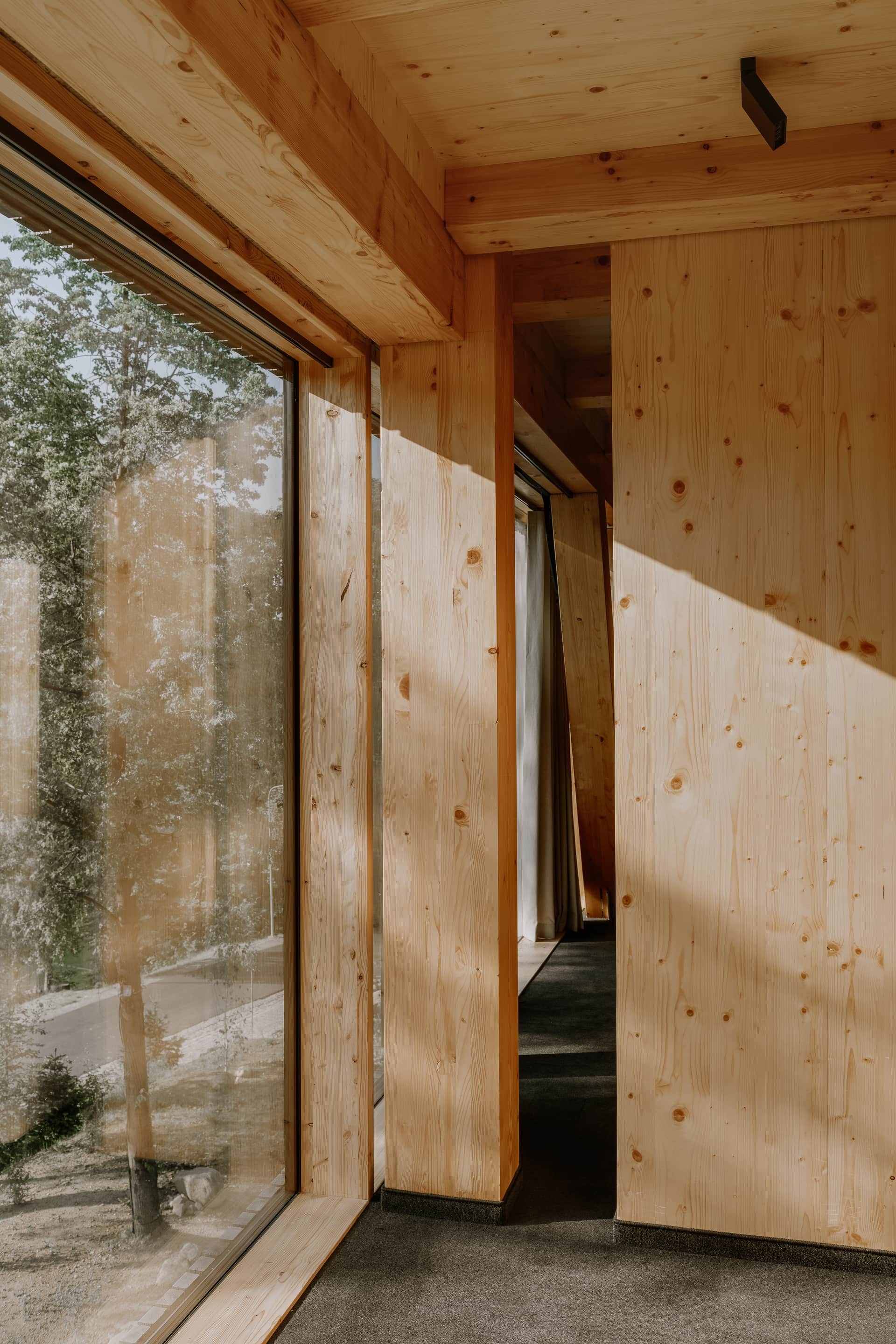 Apartments in Wolf Clearing / studio de.materia-40