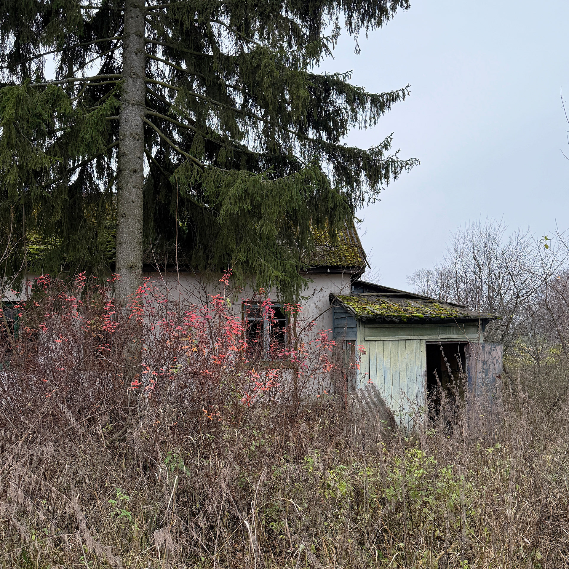 There was life here-5