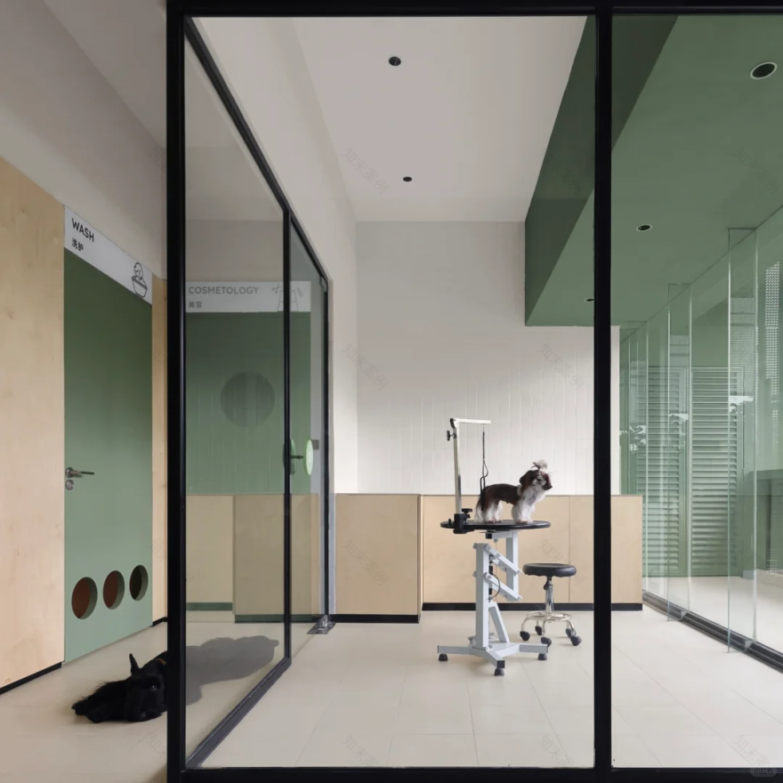 海南▶Momogogo人宠都市绿洲——毛孩子的友好综合空间-27