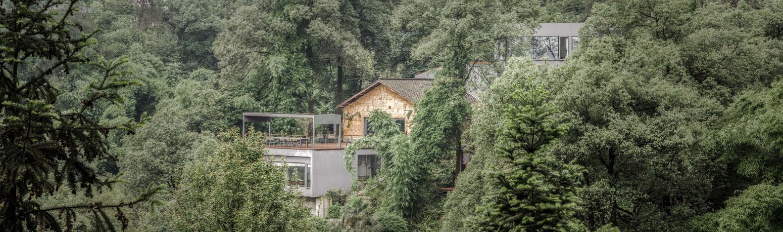 南山乡村民宿 | 现代简约与自然的完美融合-2