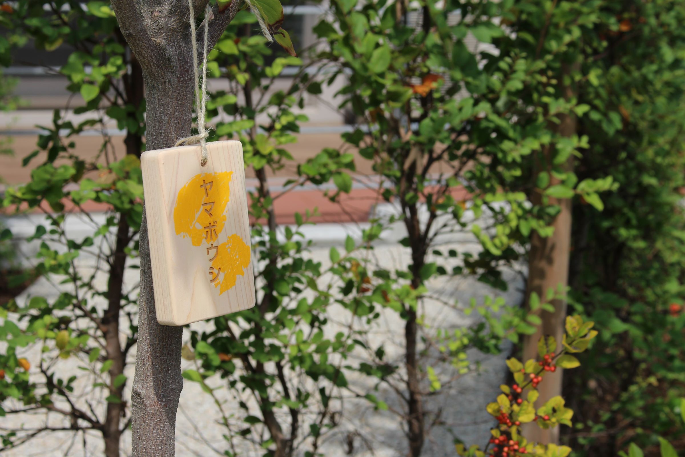 川崎COTONIOR花园-21