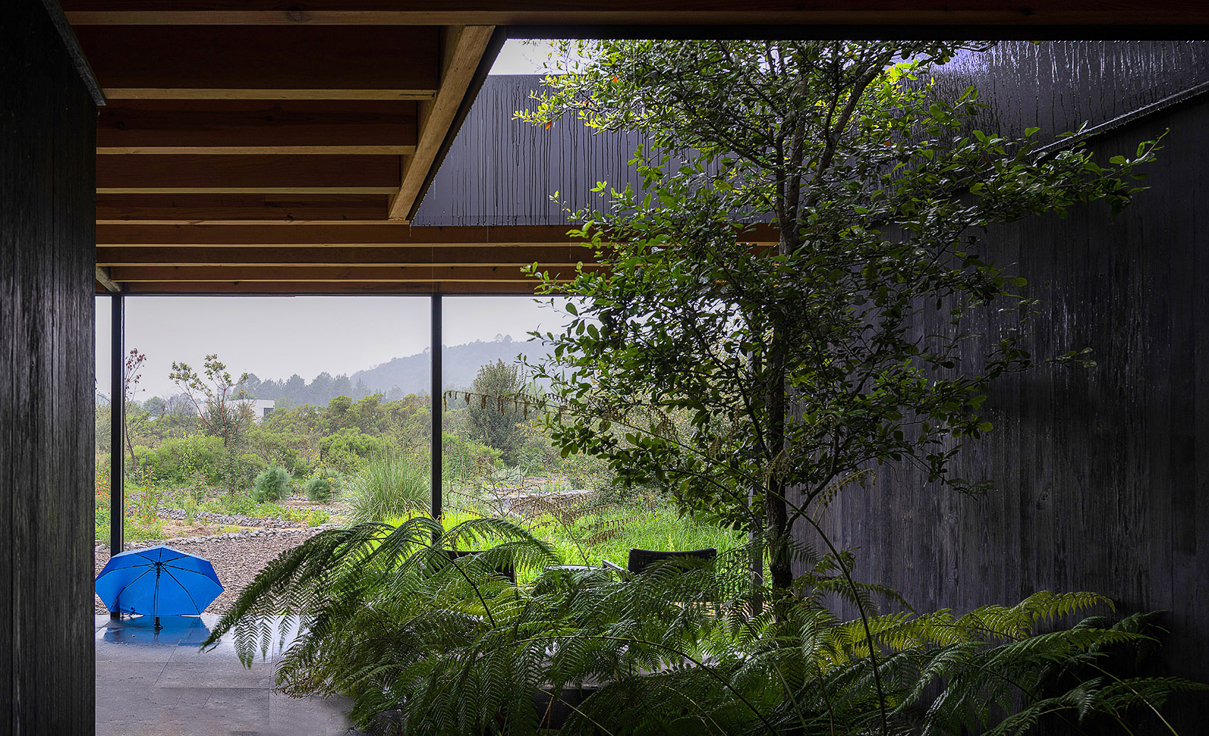 墨西哥雨水收集之家丨Robert Hutchison Architecture + JSa-101