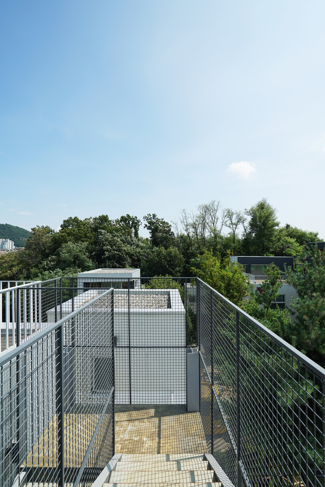 寓教于乐，感受自然的“不适学校”-35