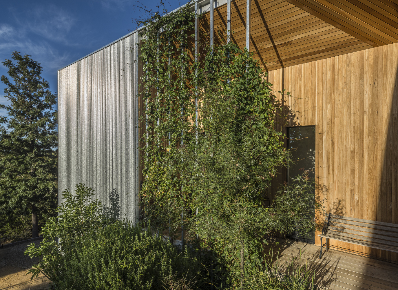 澳大利亚 Willunga 住宅丨澳大利亚阿德莱德丨RfkStudio-40