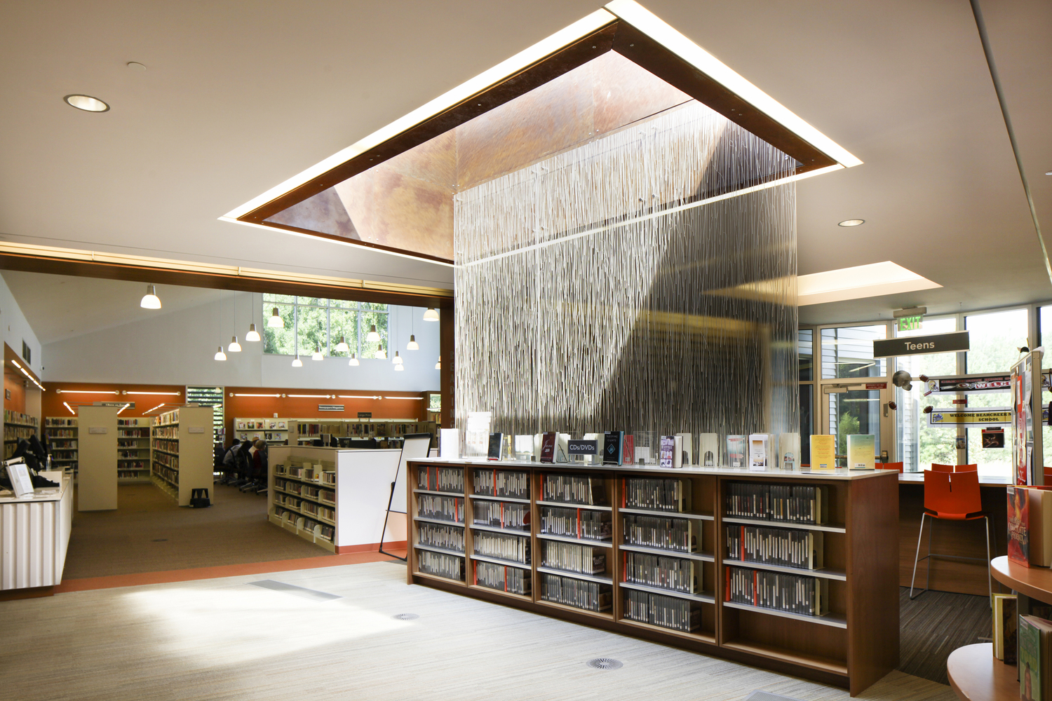 Palmetto图书馆-39