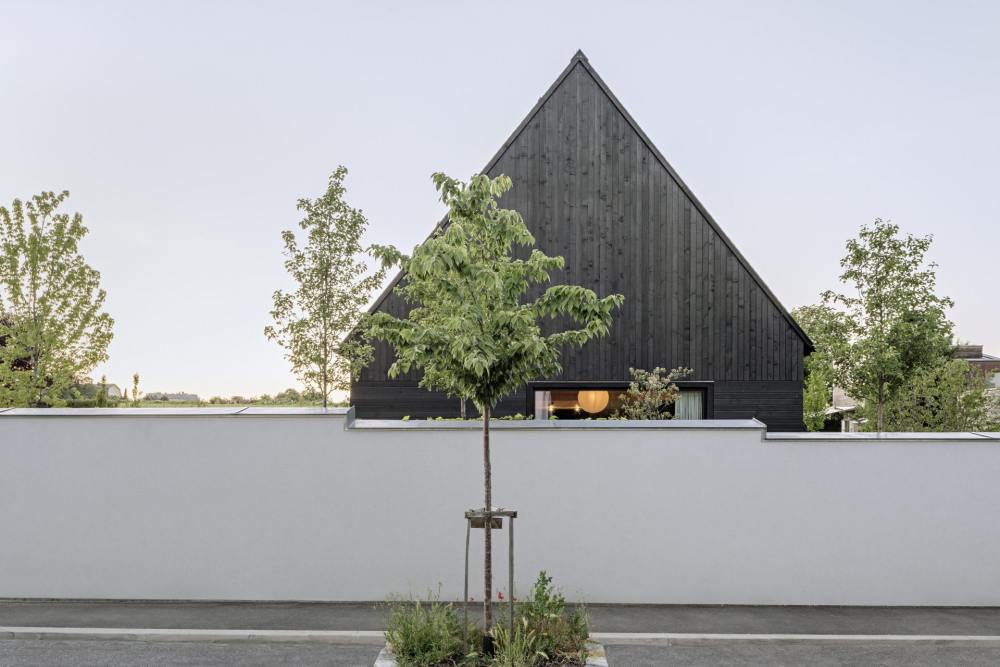 奥地利 Perchtoldsdorf 最小住宅设计丨Bernardo Bader Architects-11