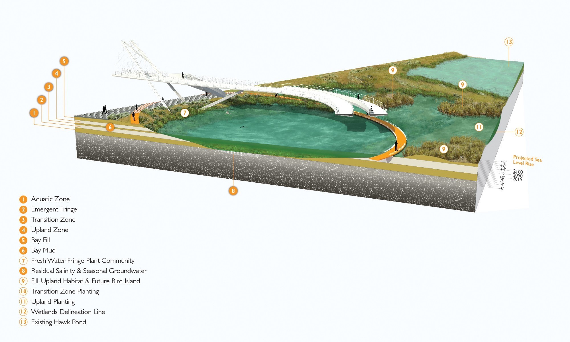 帕洛阿尔托的新 Adobe 溪行人和自行车桥-25