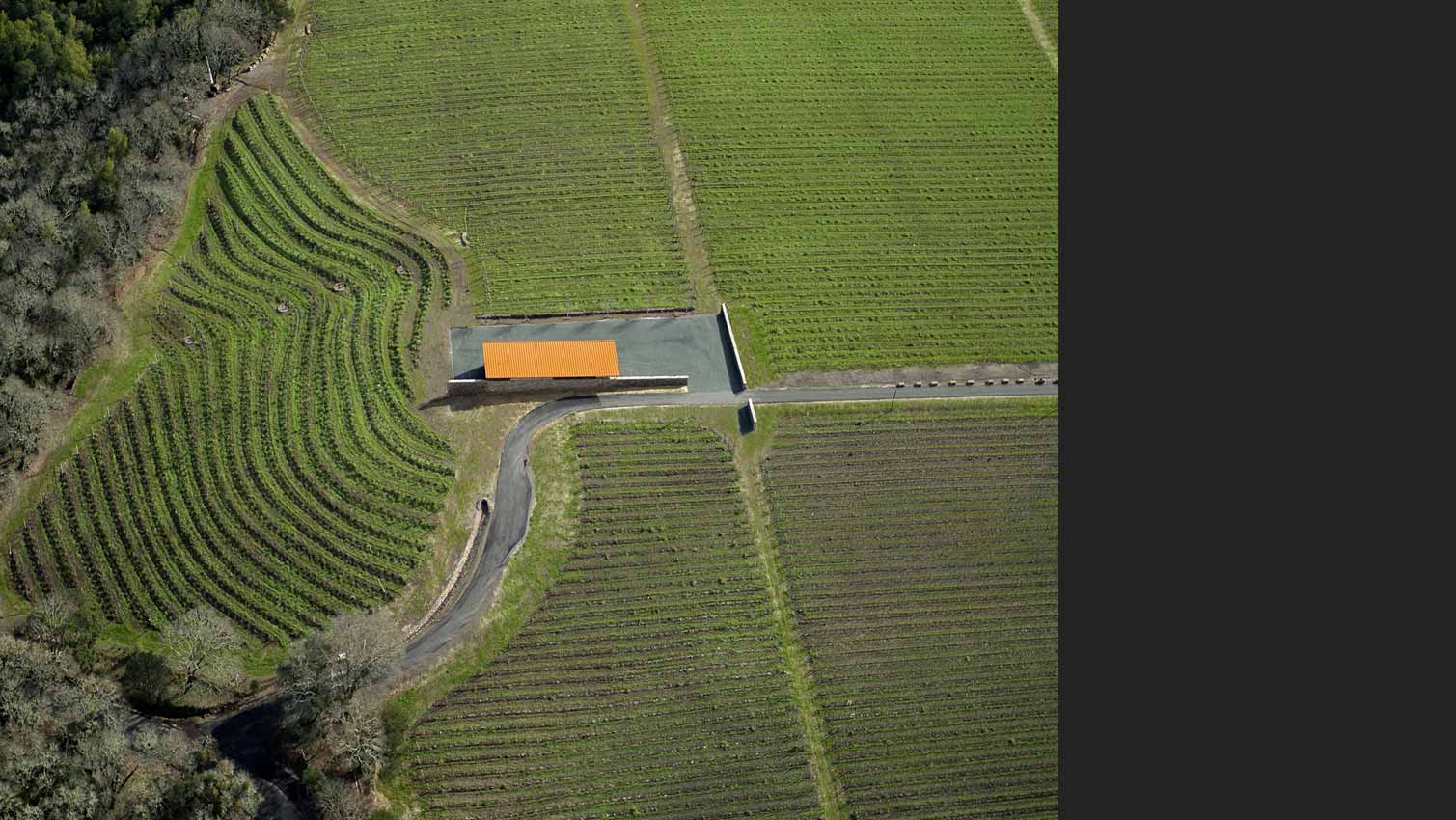 Vineyard Barn Aidlin Darling-1