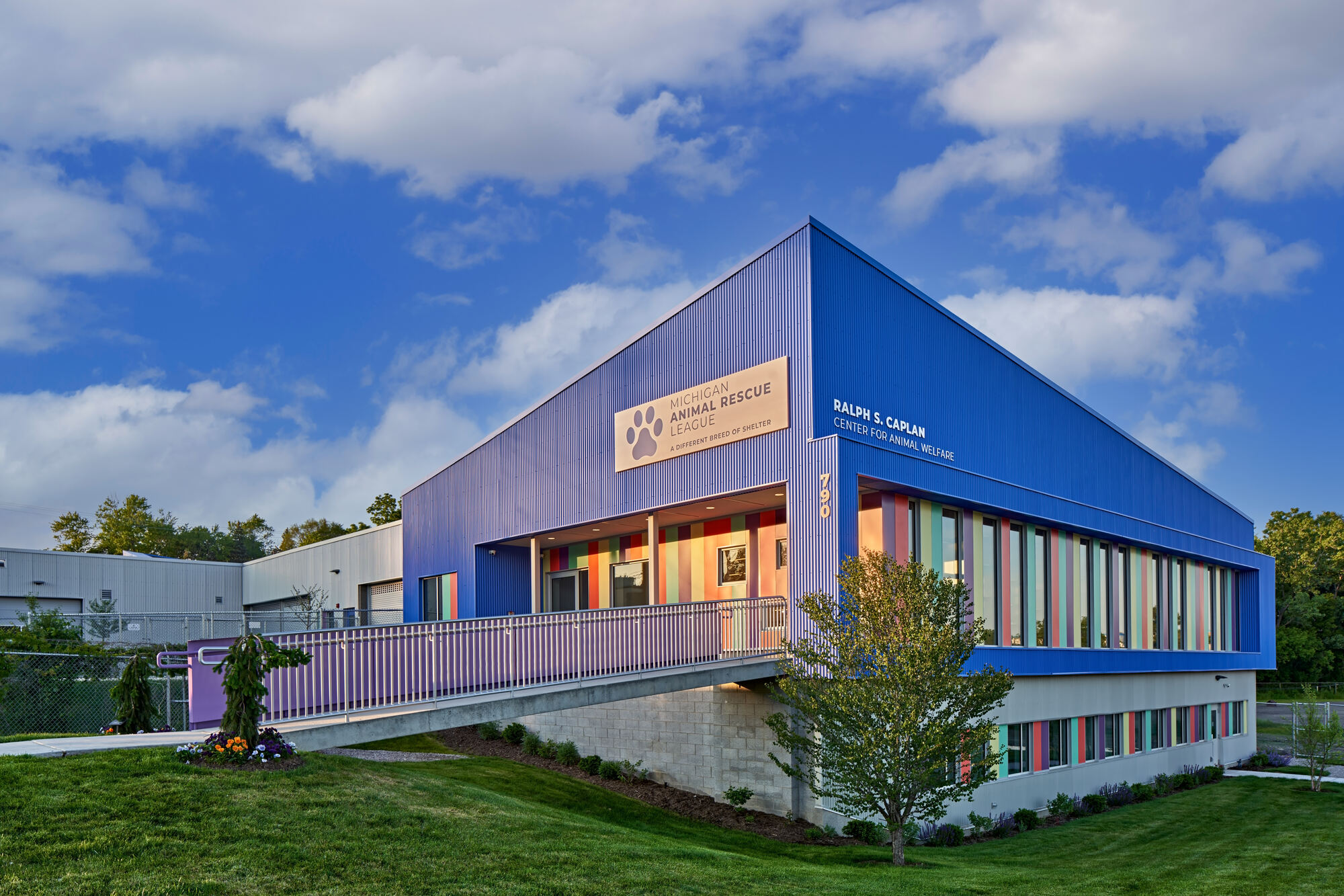 密歇根动物救援联盟丨美国丨PLY+-17