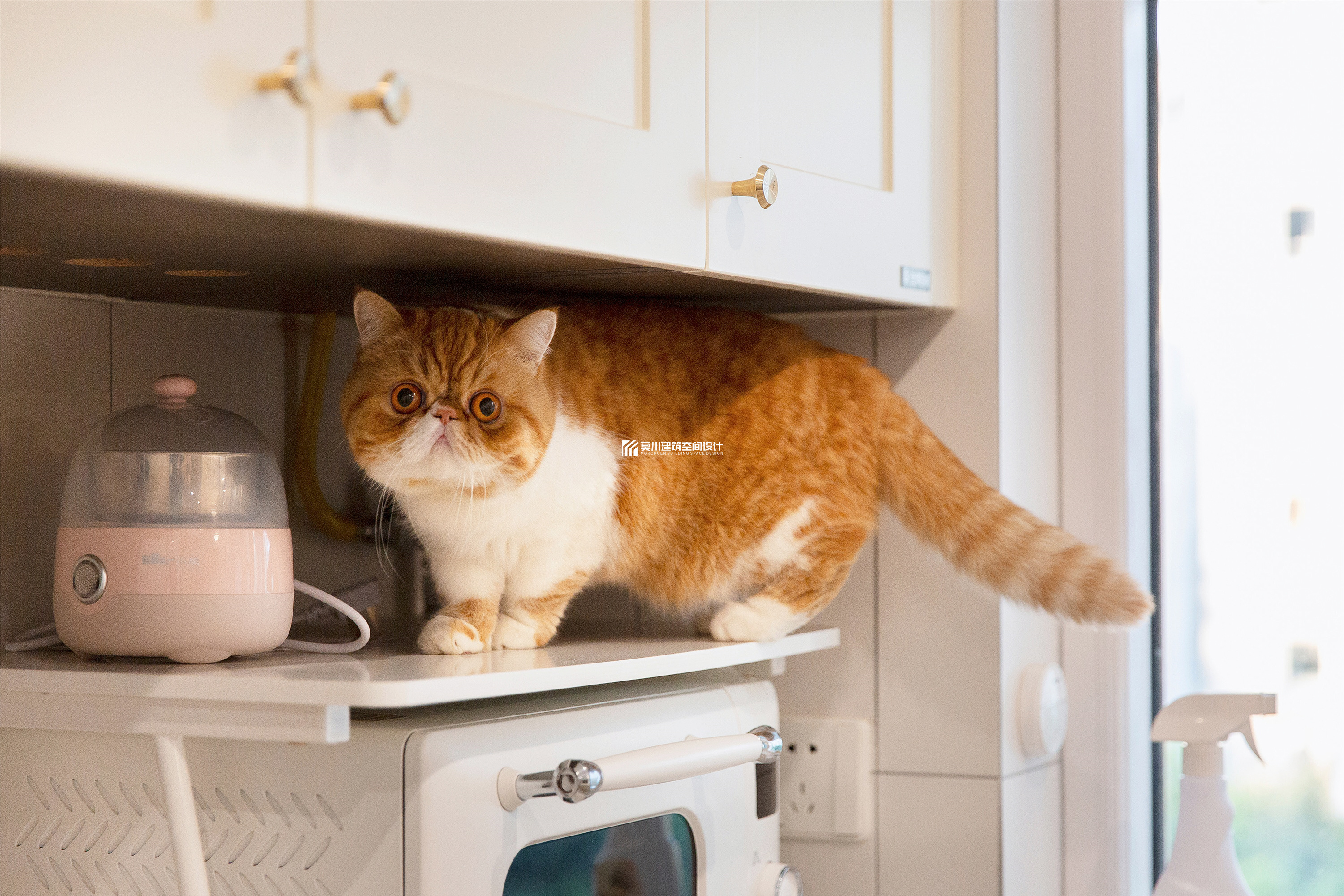 鼎太风华 127m²北欧风-9