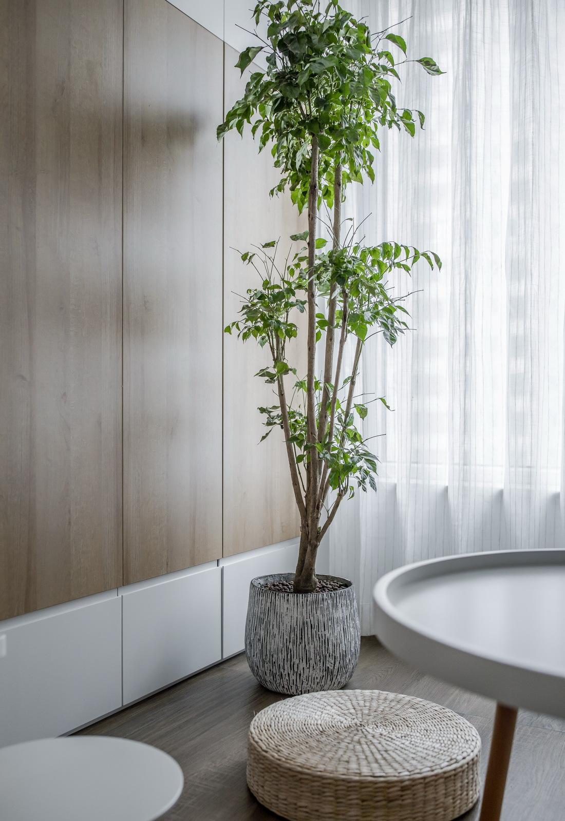 自然与现代的完美融合丨林金亮-23