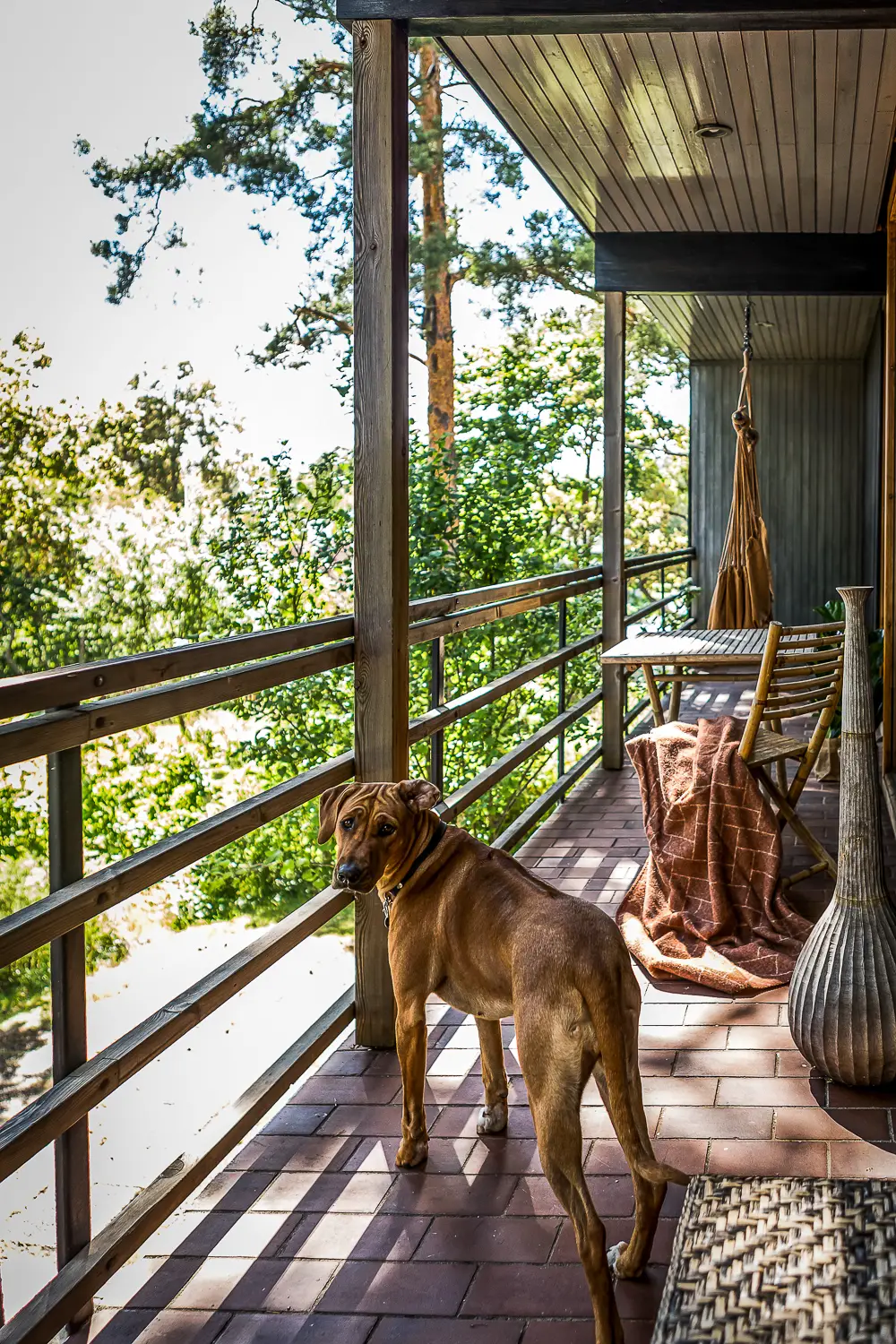 自然色彩的瑞典海滨别墅-27