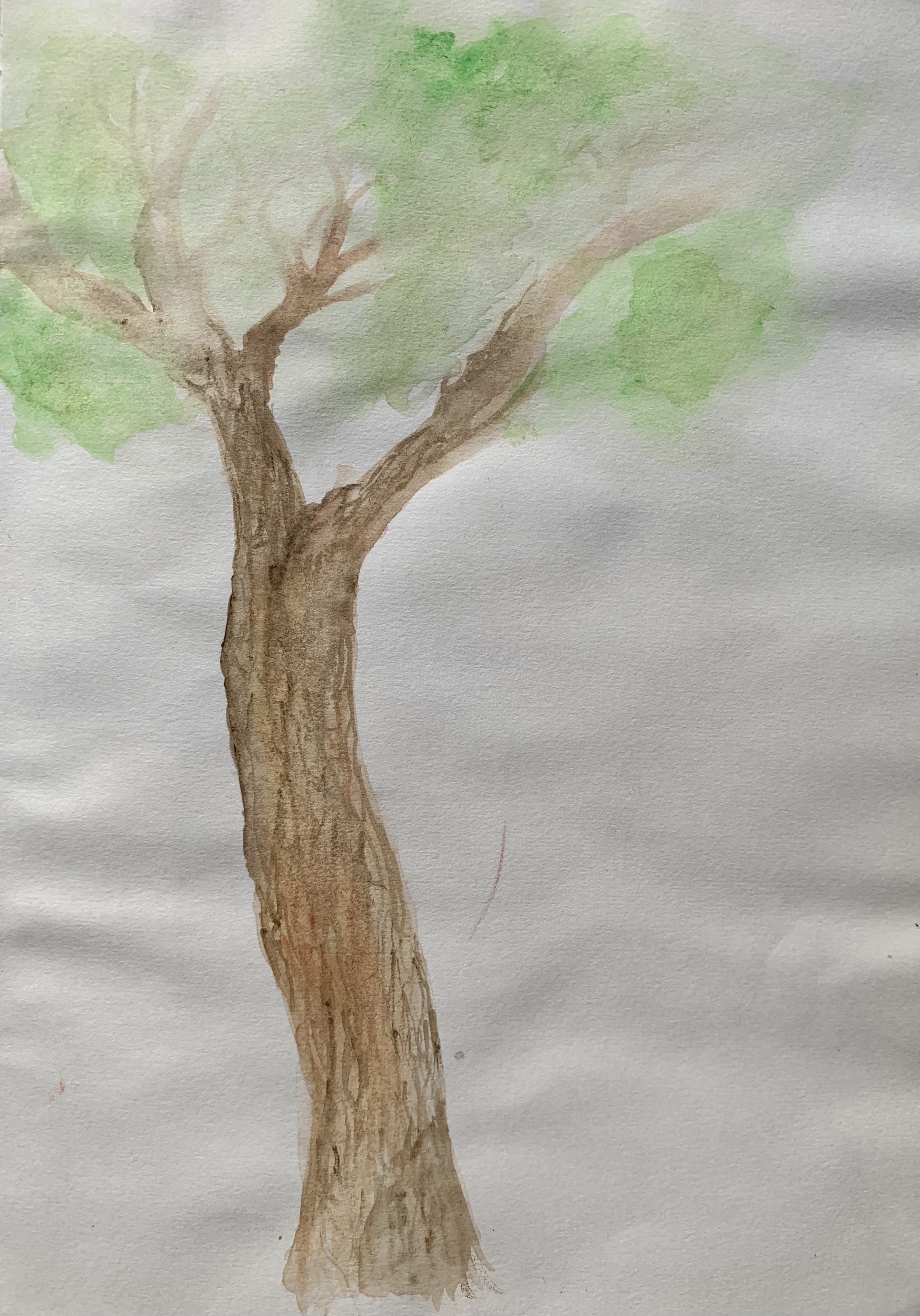 WHEN IN ROME · 建筑写生课程丨意大利罗马-11