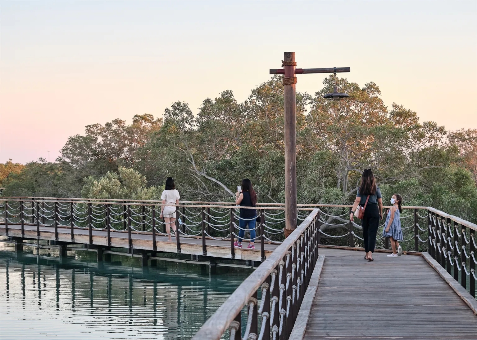 阿联酋红树林公园丨CEBRA Architecture-7