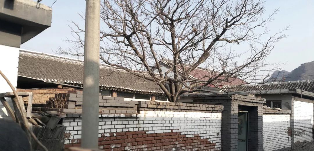 共享农庄 | 红果树++ 小酒馆,北京密云张家庄村的自然栖居空间-7