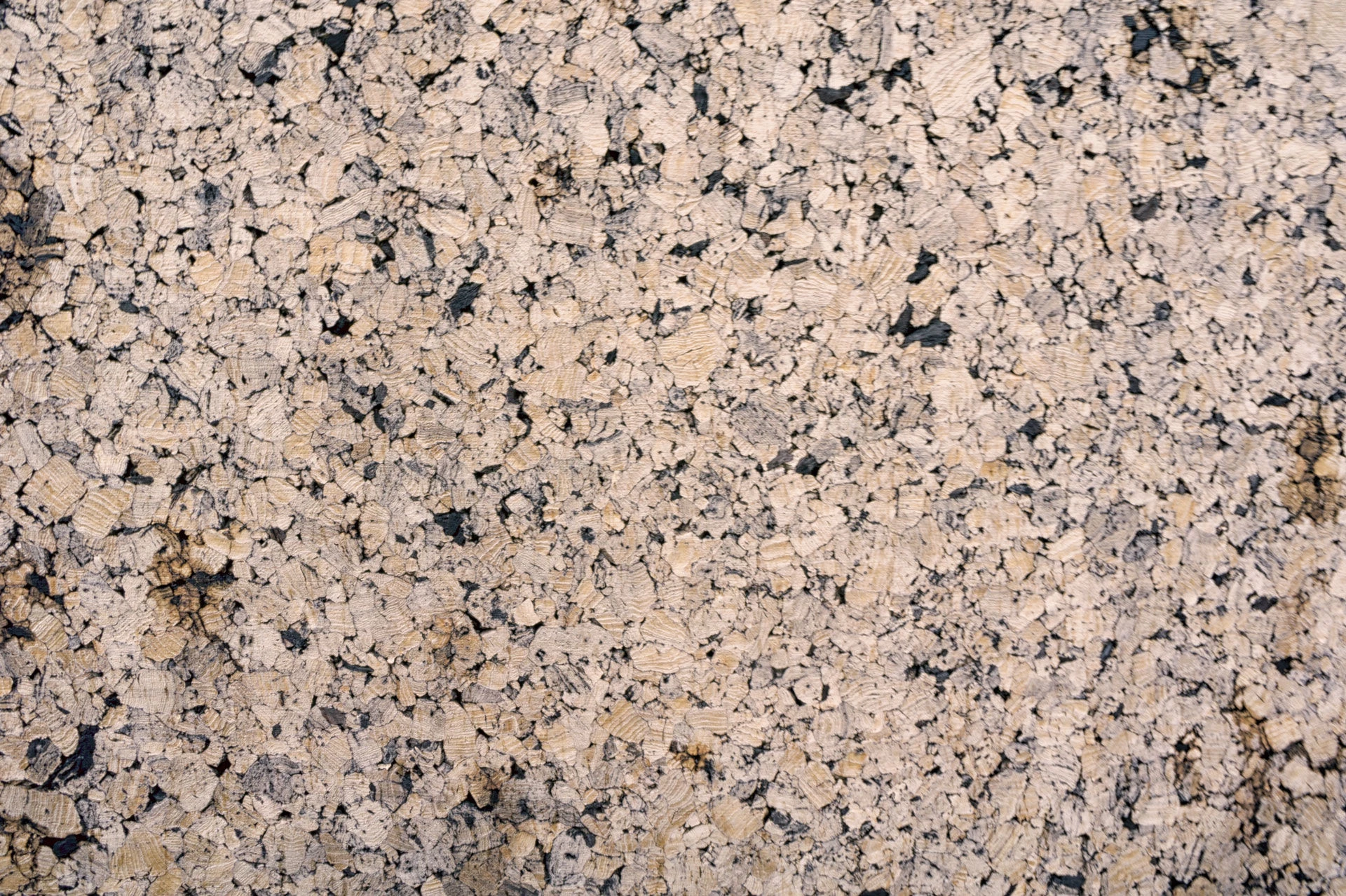 葡萄牙乡村 CM 住宅 | 私密与自然的共生-23