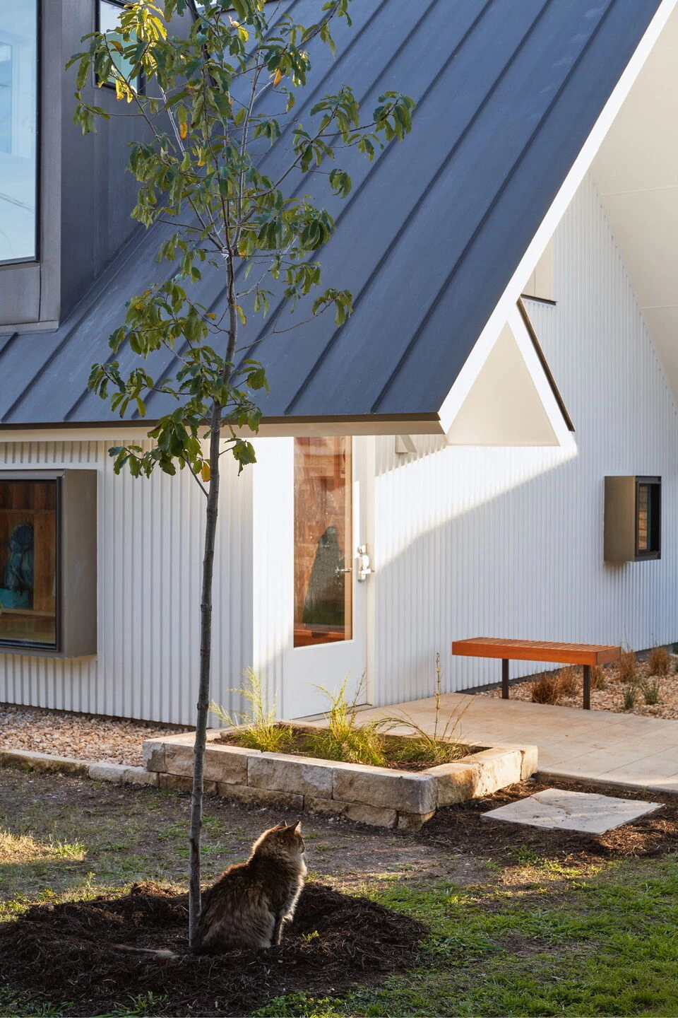 Little Tiger Chinese Immersion School-10