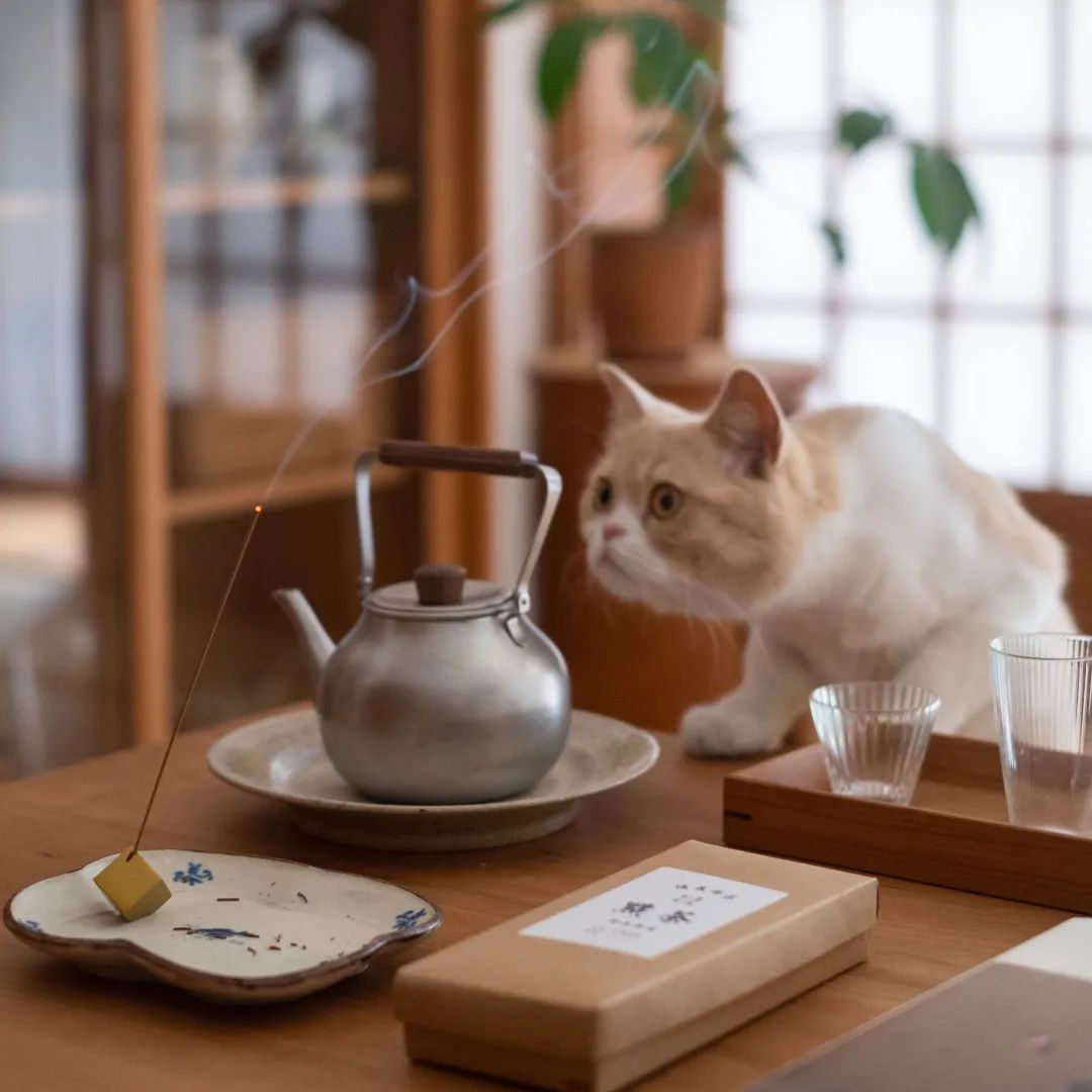 榻榻米设计 · 实用与美观兼具的居家选择丨中国宁波-74