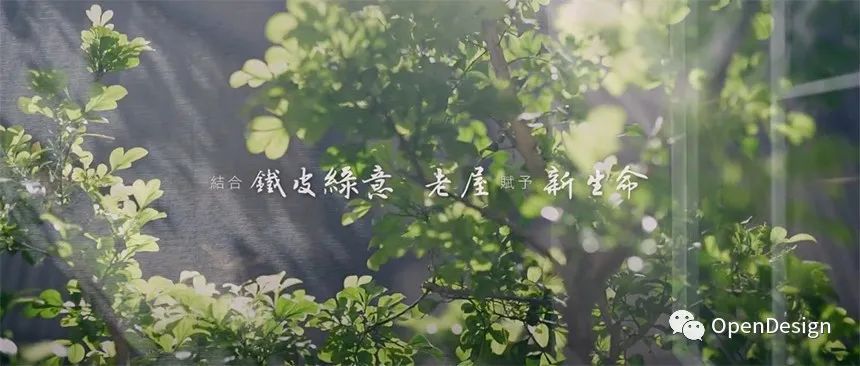 高雄老屋新生,以樂設計的 Beetle Tree Café-2