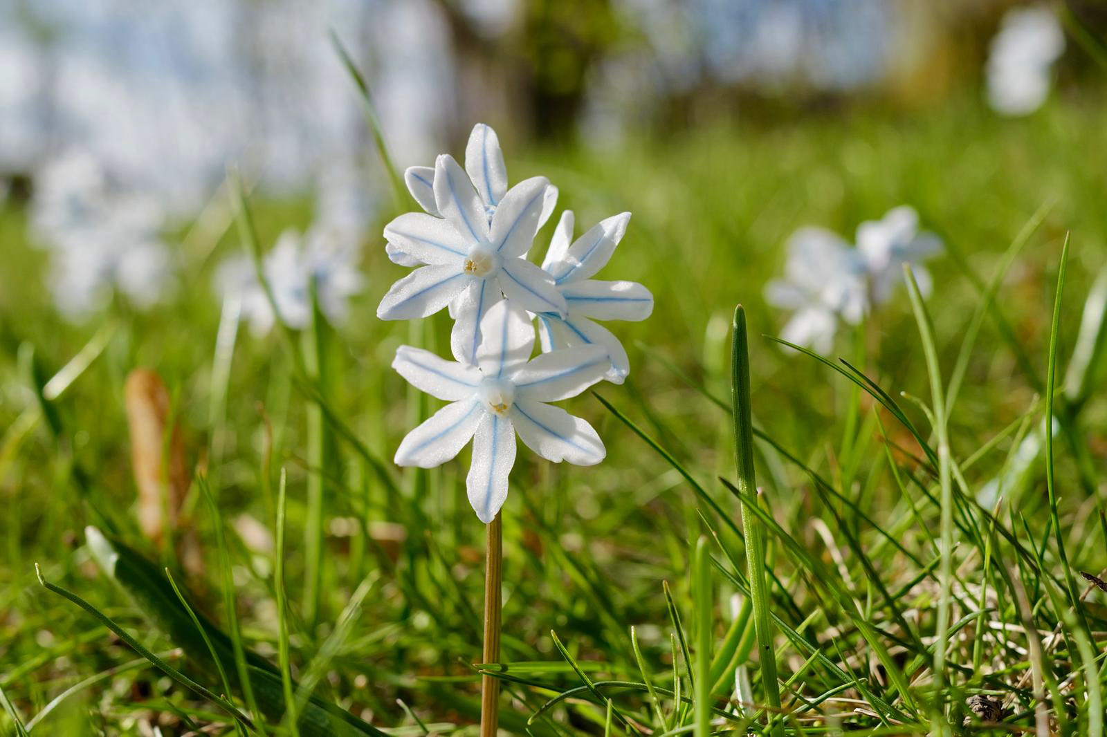2026年复活节之旅-9