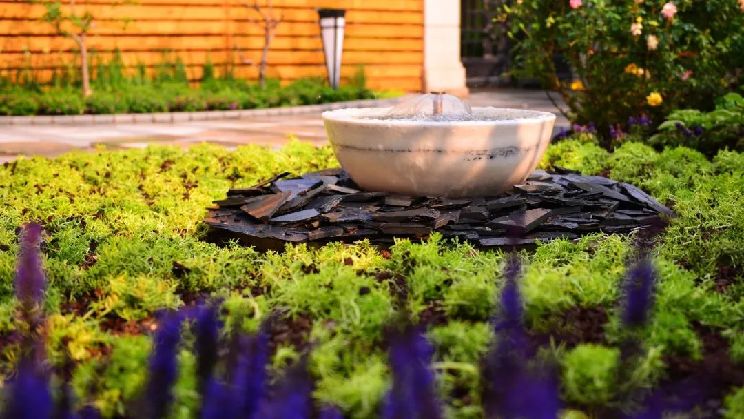 打造独特私家花园,体验简约宁静之美-46