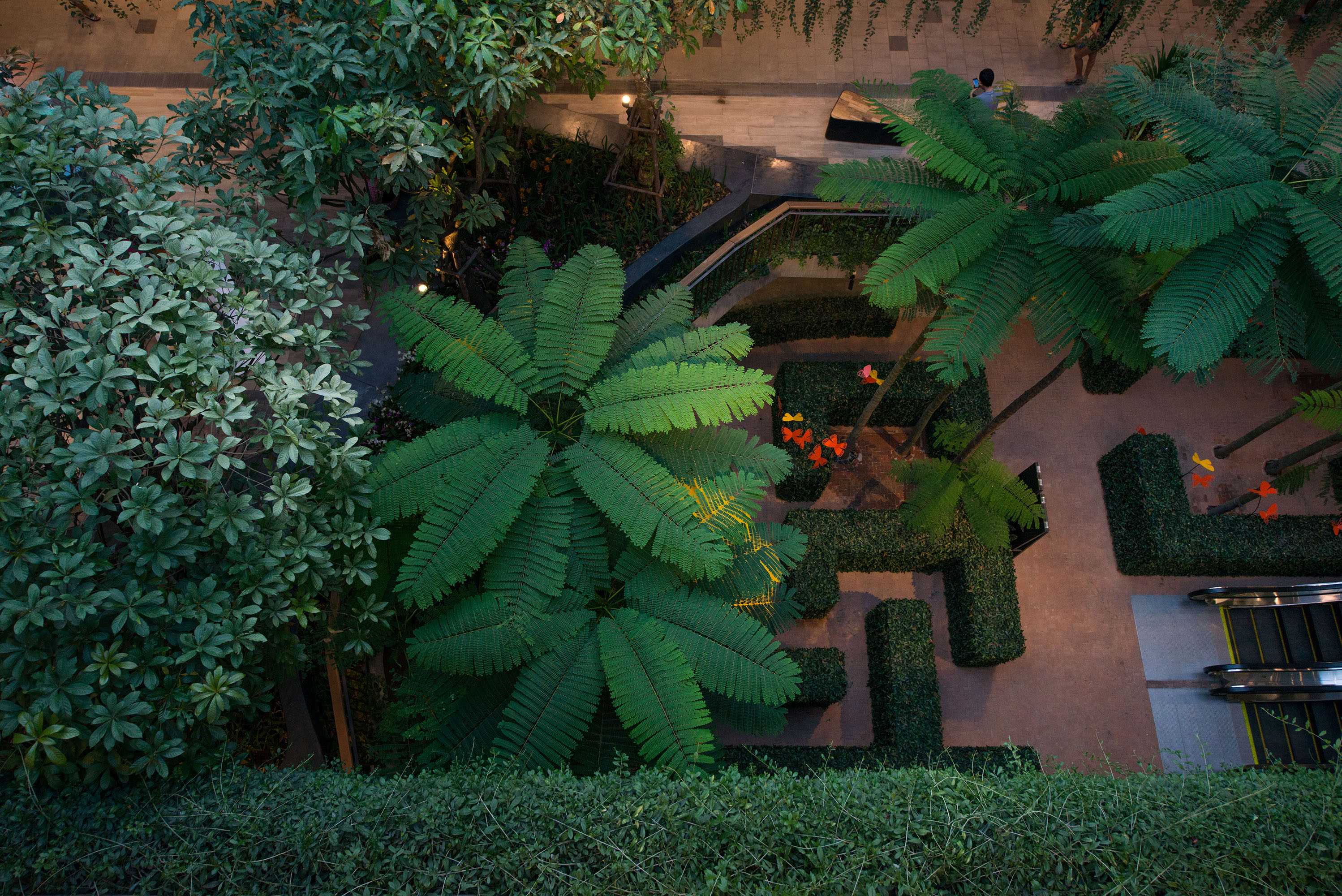 中央节日东维尔-6