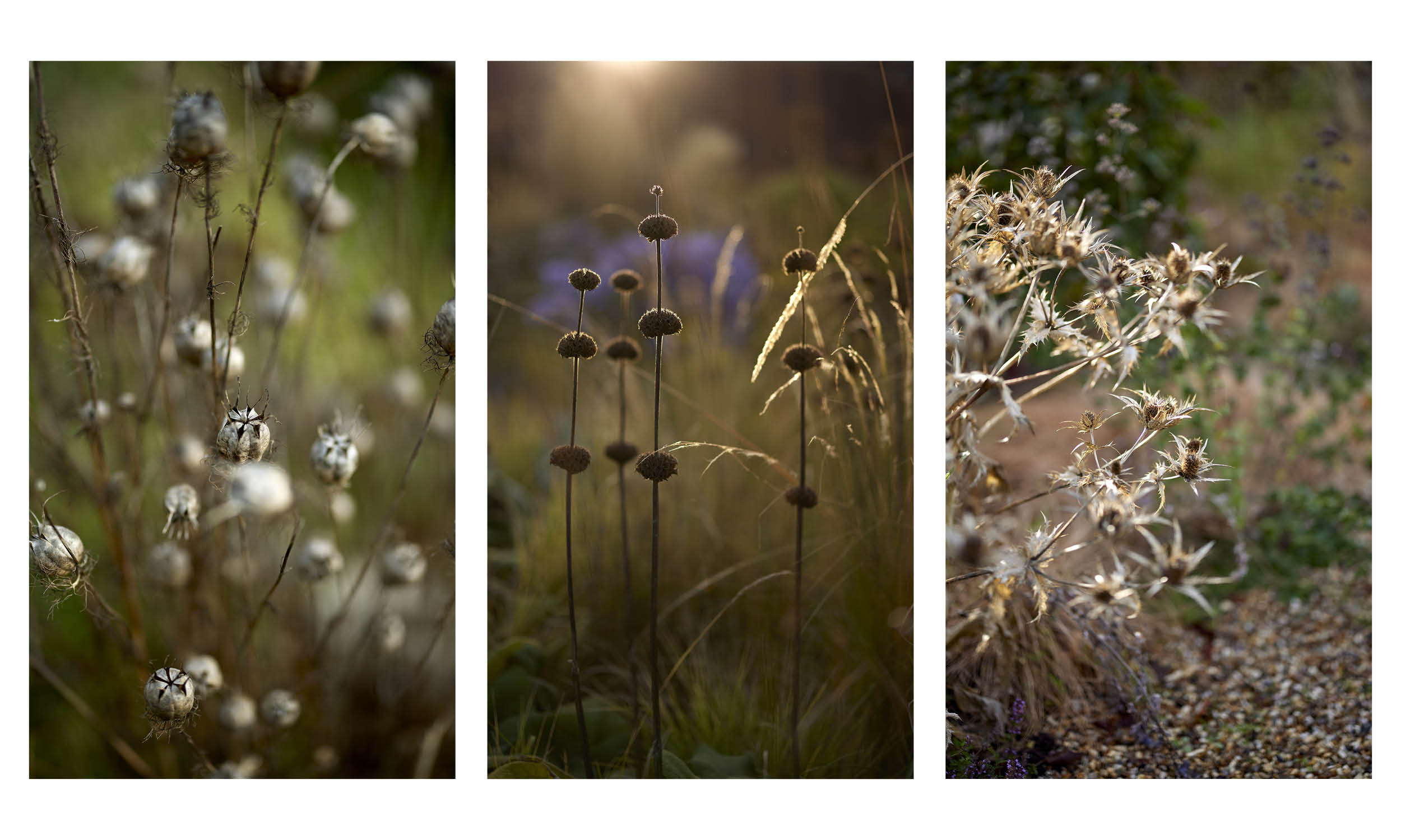 荷兰世园会  自然之境丨荷兰阿尔梅勒丨Stefano Marinaz景观公司（SMLA）-124