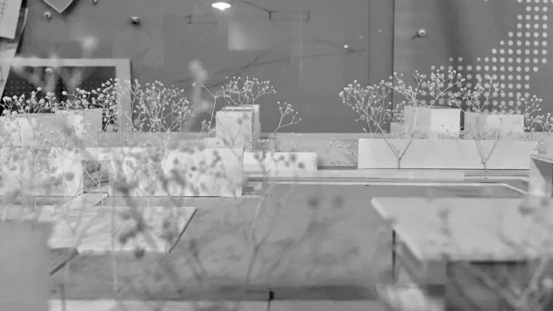 《雁归来》 | 水乡文化的现代解读-141