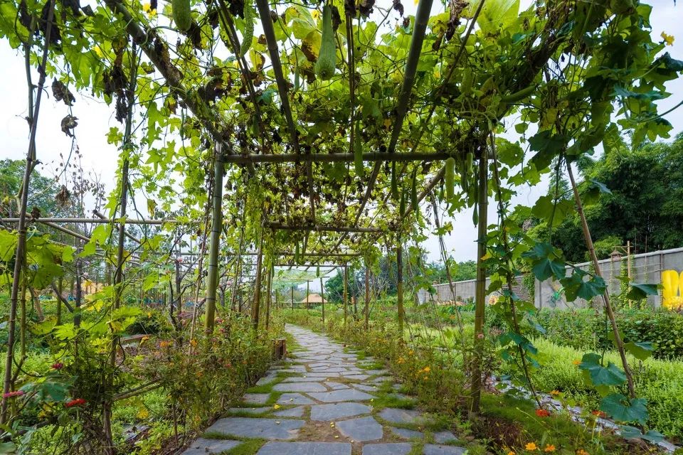 成都新希望种子乐园丨蓝海景观-90