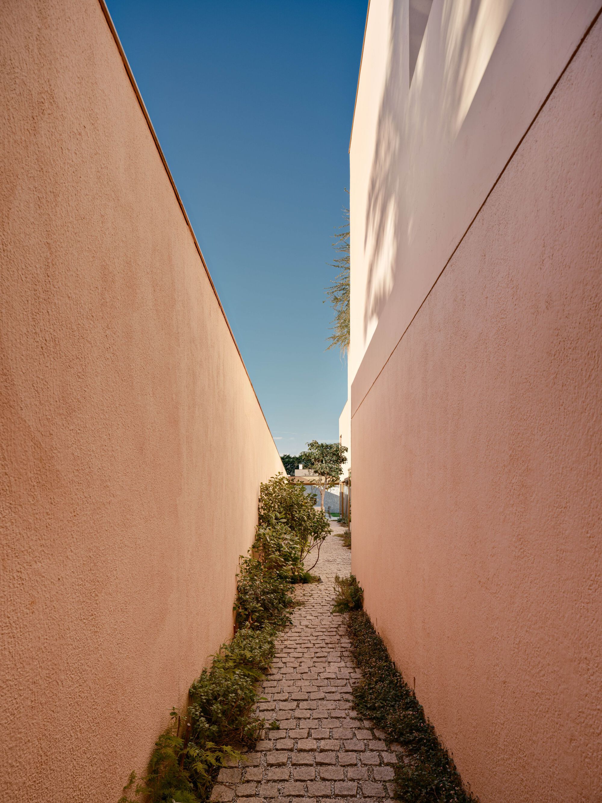 丨巴西圣保罗丨Felipe Hess Arquitetos-42