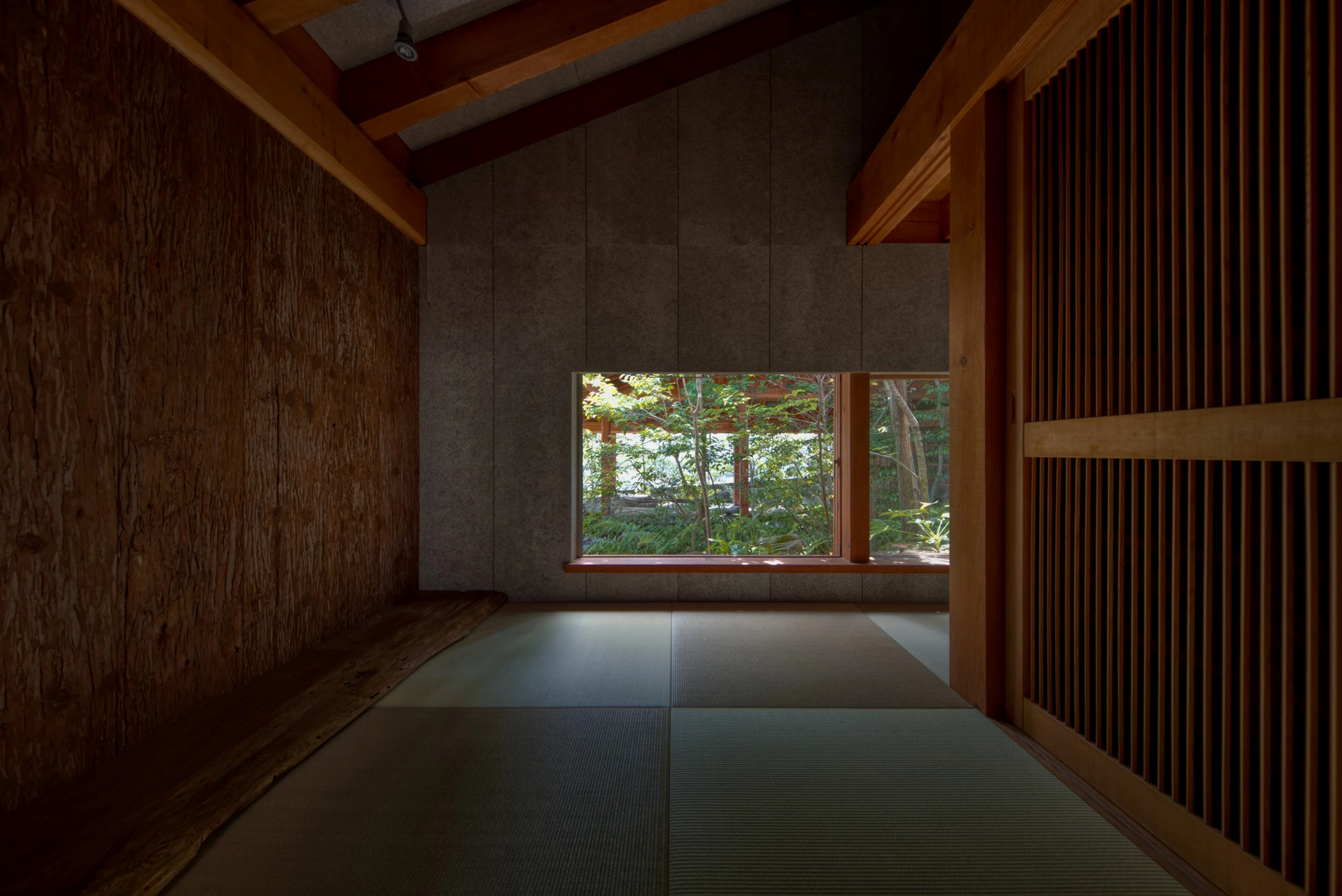 石头缝里的生机 · 大地之家的绿色创新设计-34