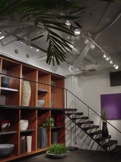 外苑前FLOWER SHOP观叶植物卖场设计丨日本东京丨ao2-19