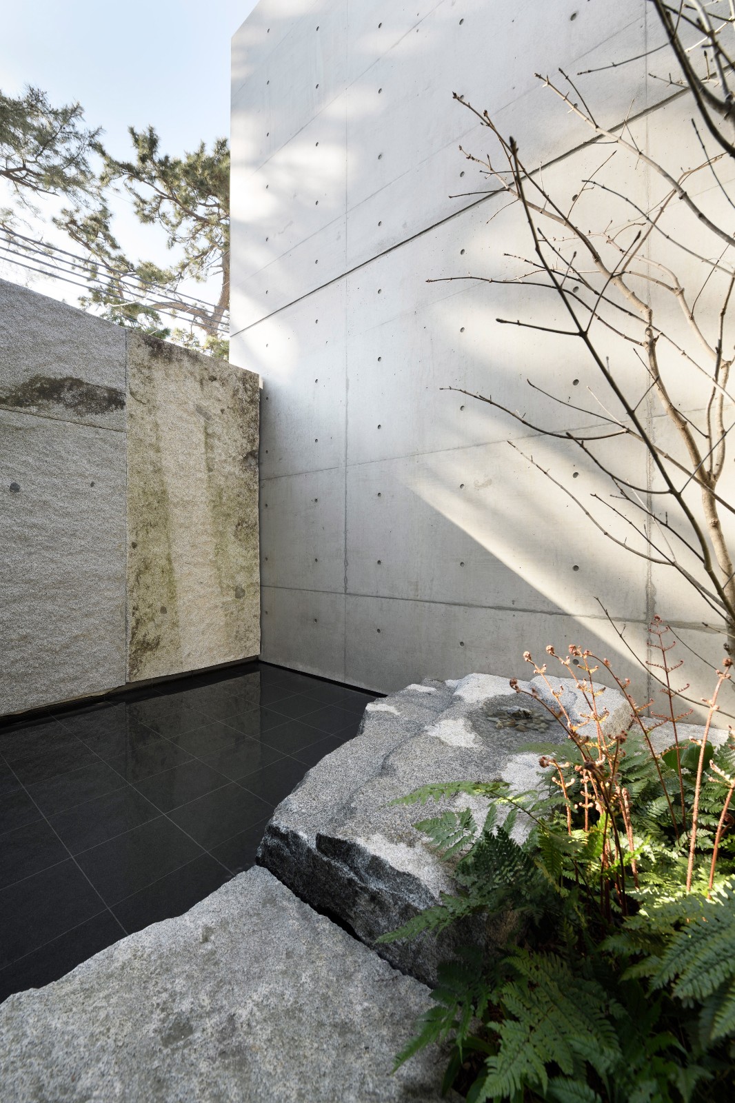 首发 | Gosize在日本围绕一个极简主义的池塘设计了自己的家庭工作室-19