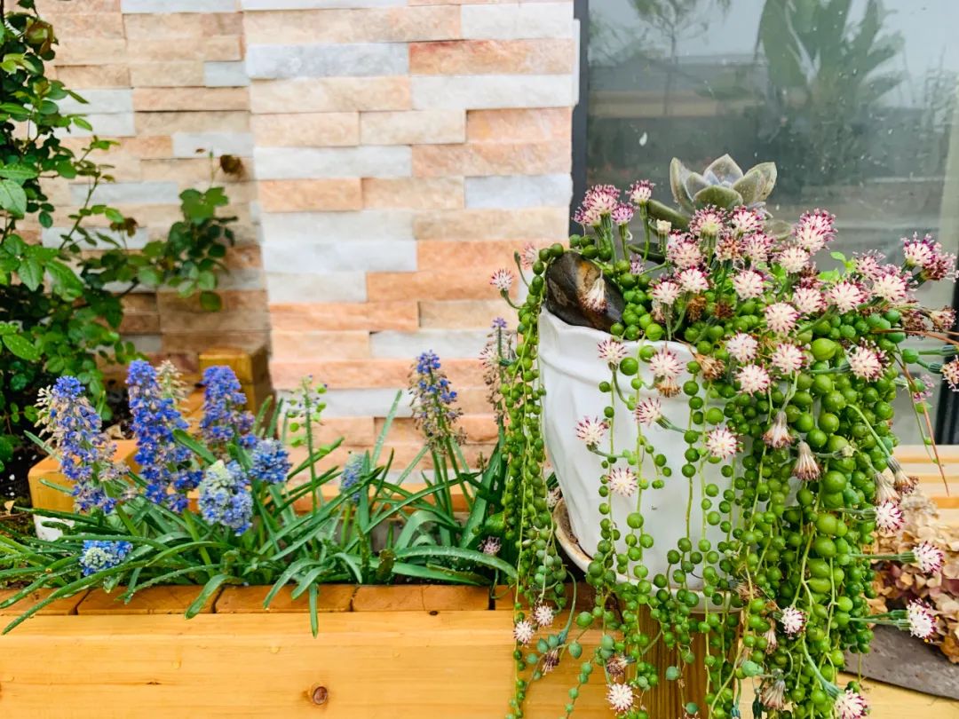 多一点浪漫 | 80、90 后的理想家居设计-63