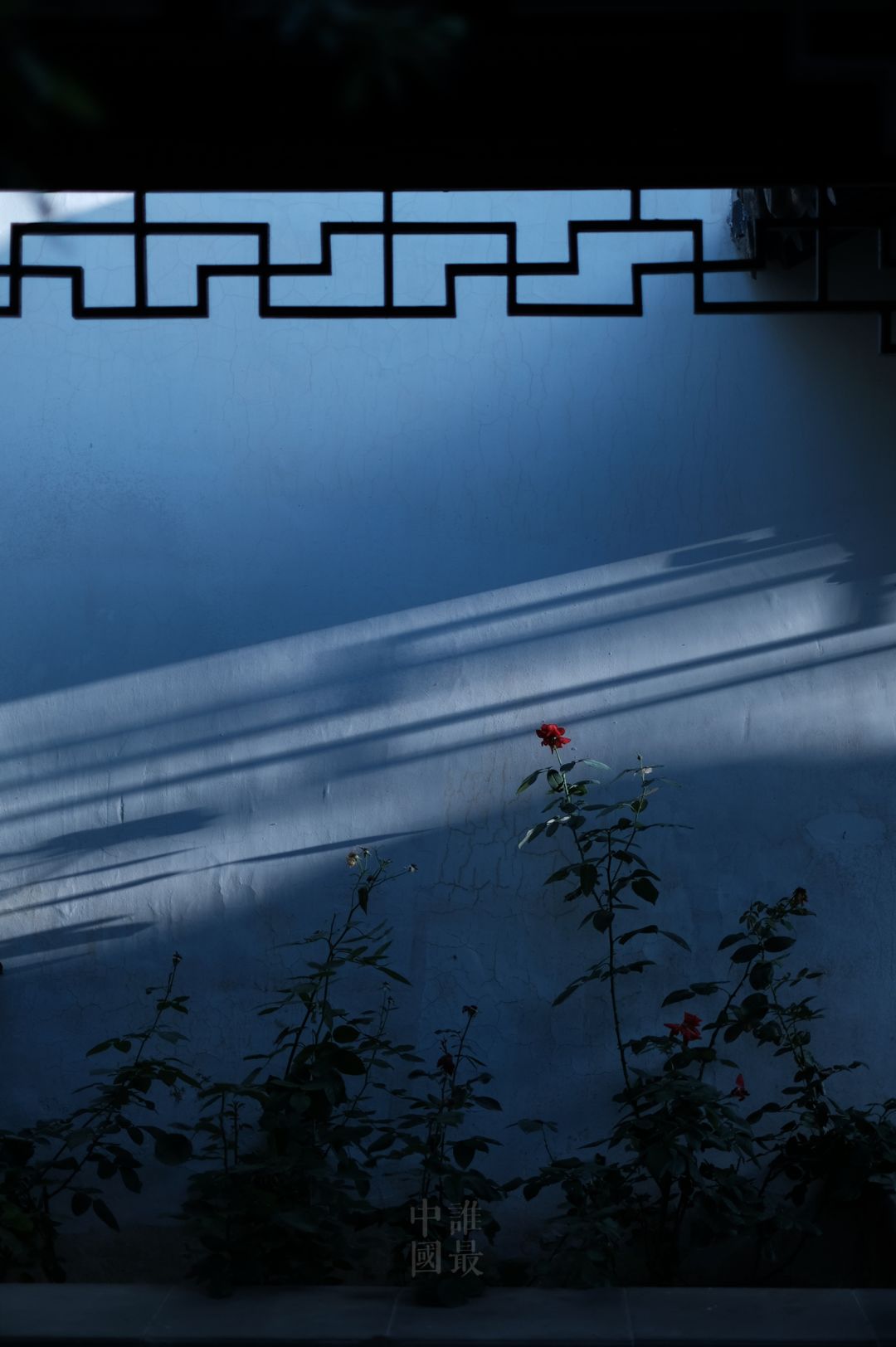 归心·乡愁 · 东坡记忆中的宜兴早春丨誰最中國-47