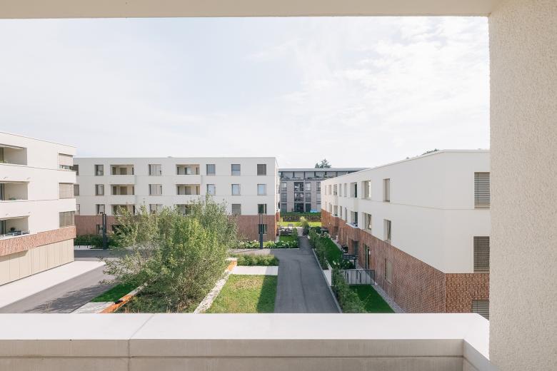 在冰湖旁居住丨德国-6