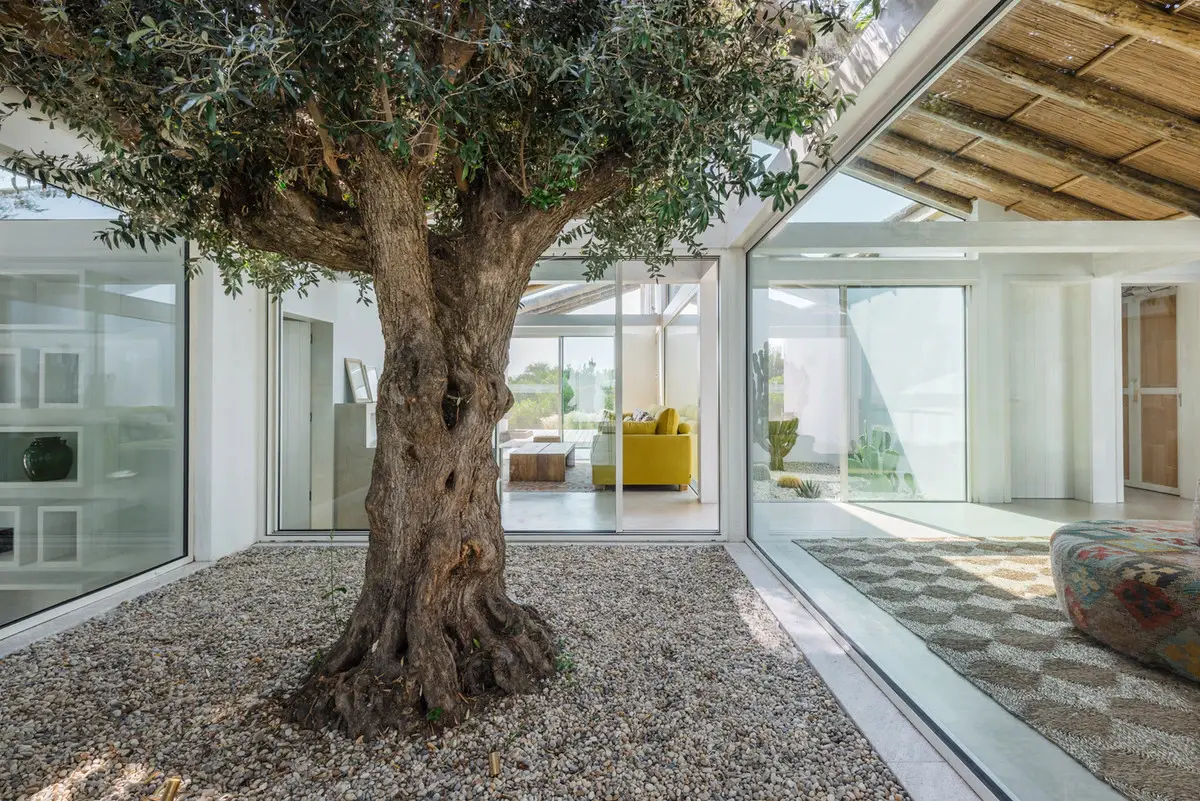 葡萄牙 Comporta 现代度假别墅 | 宁静与便利的完美结合-27