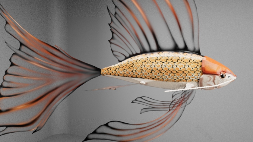 一般资产组合-2