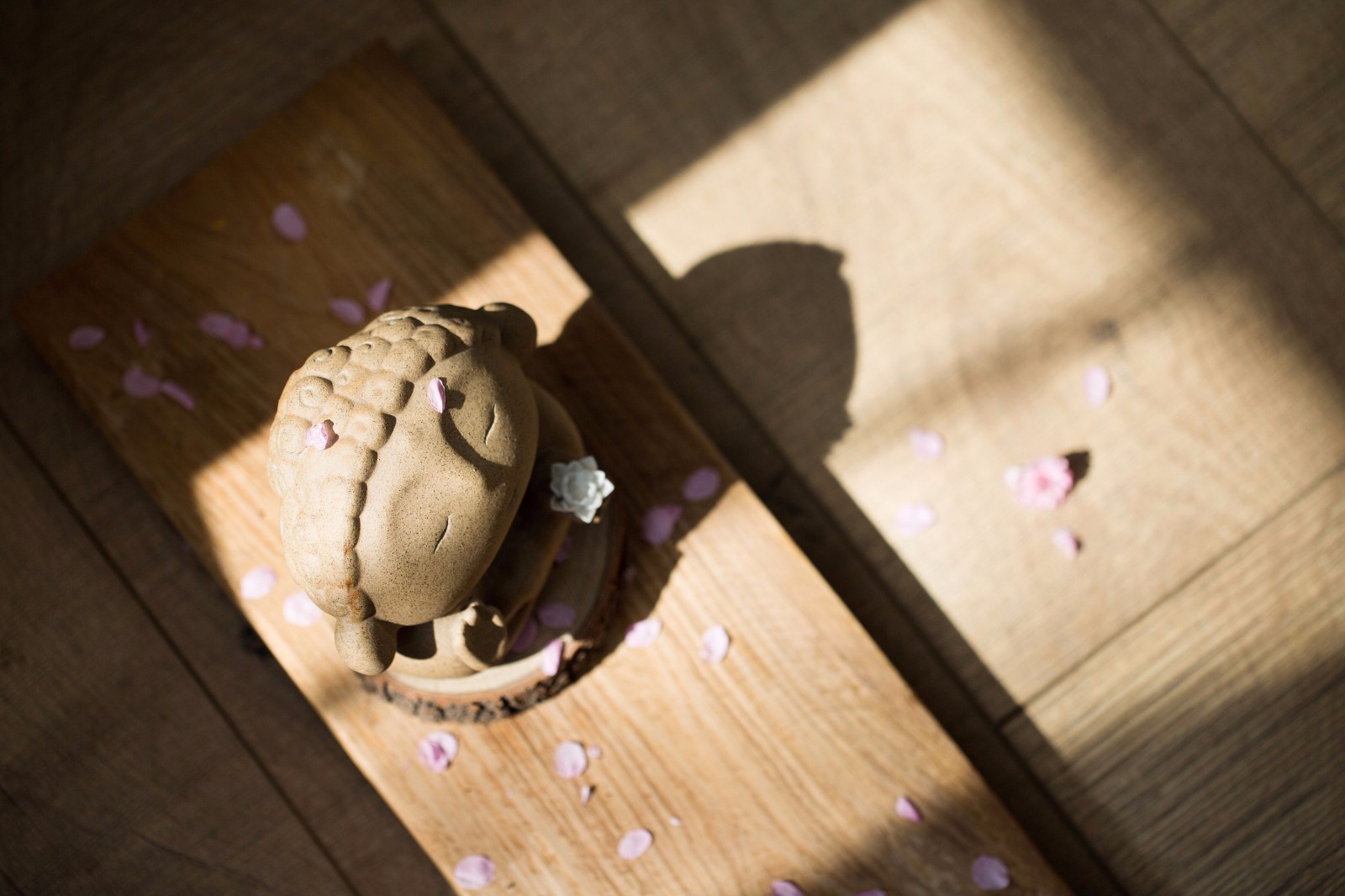 TCD设计机构办公室-32