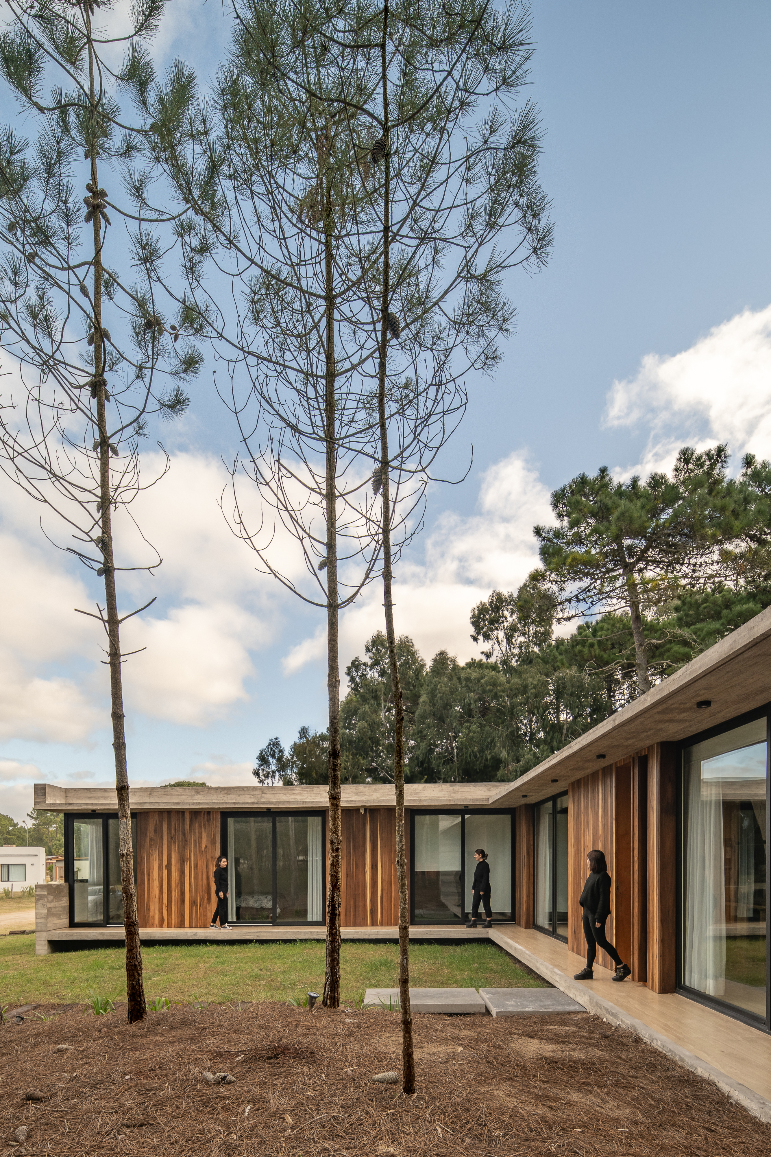 Lee House Sotavento Arq enobraarquitectos-15