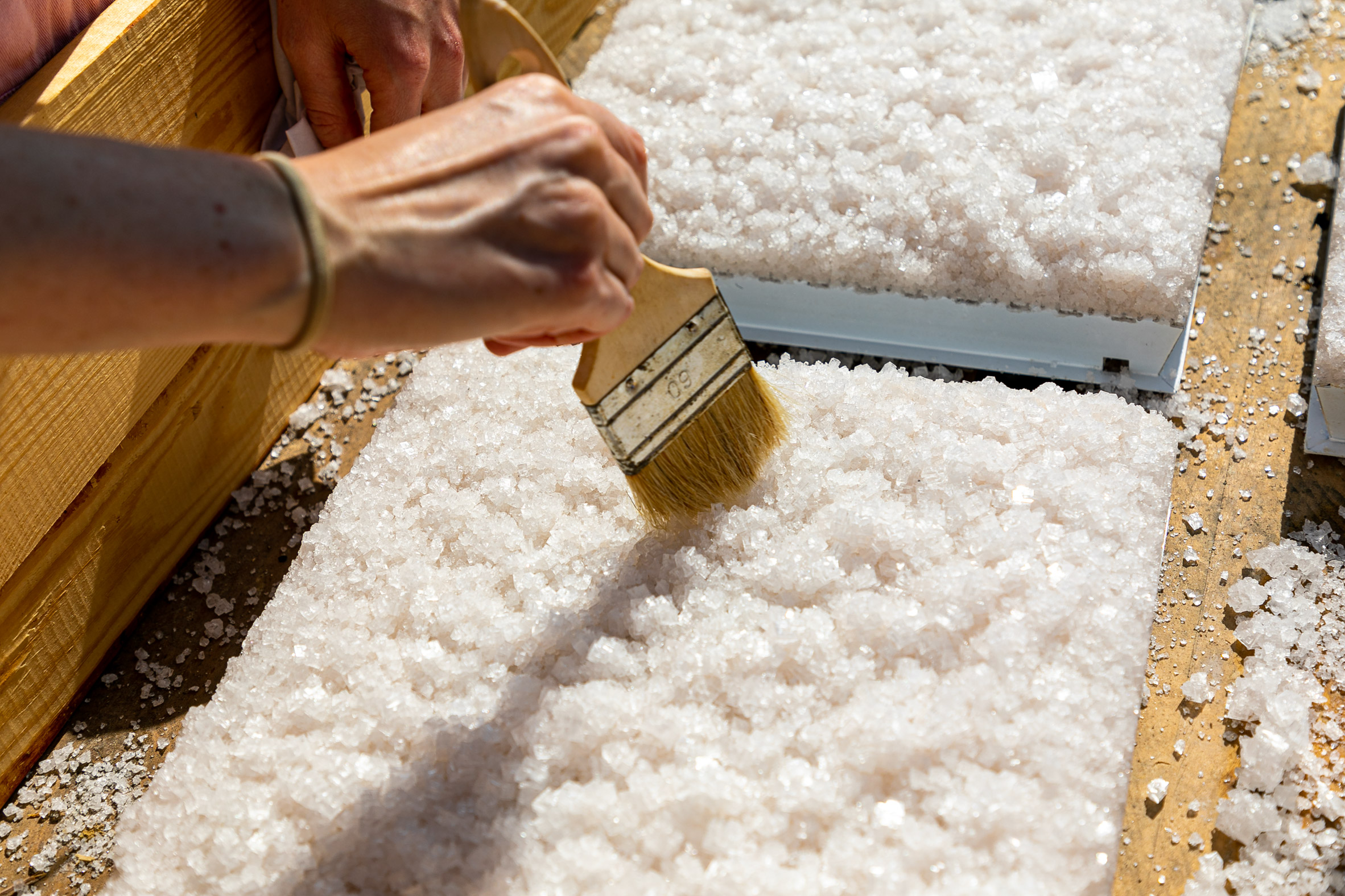 "自然材料打造环保塔楼 | 盐与阳光的杰作"-21