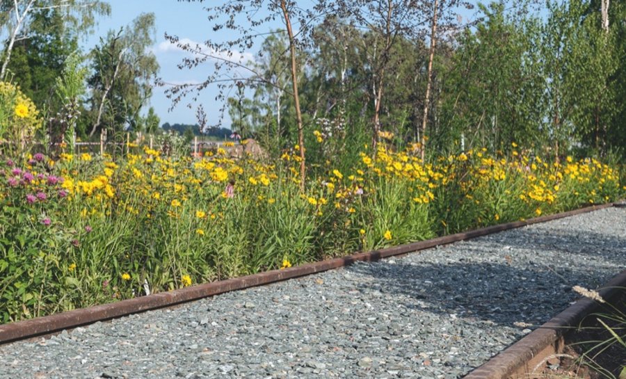 第7届萨克森州园艺展奥尔斯尼茨市民与家庭公园丨德国-5