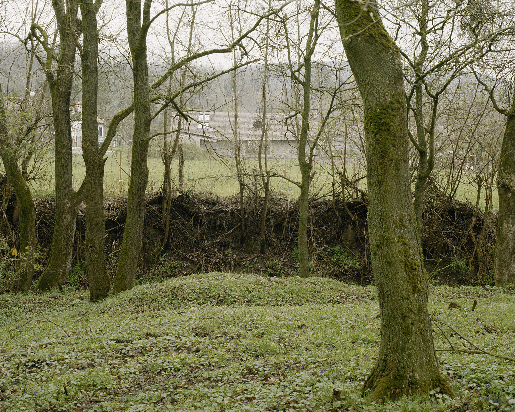 住宅与蜂场(House and Beeyard)丨匈牙利-8
