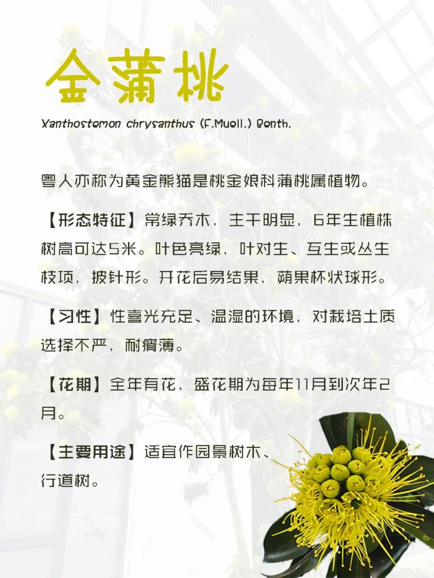 花城广州,四季繁花似锦的生态城市设计丨中国广州丨茏腾园林-36