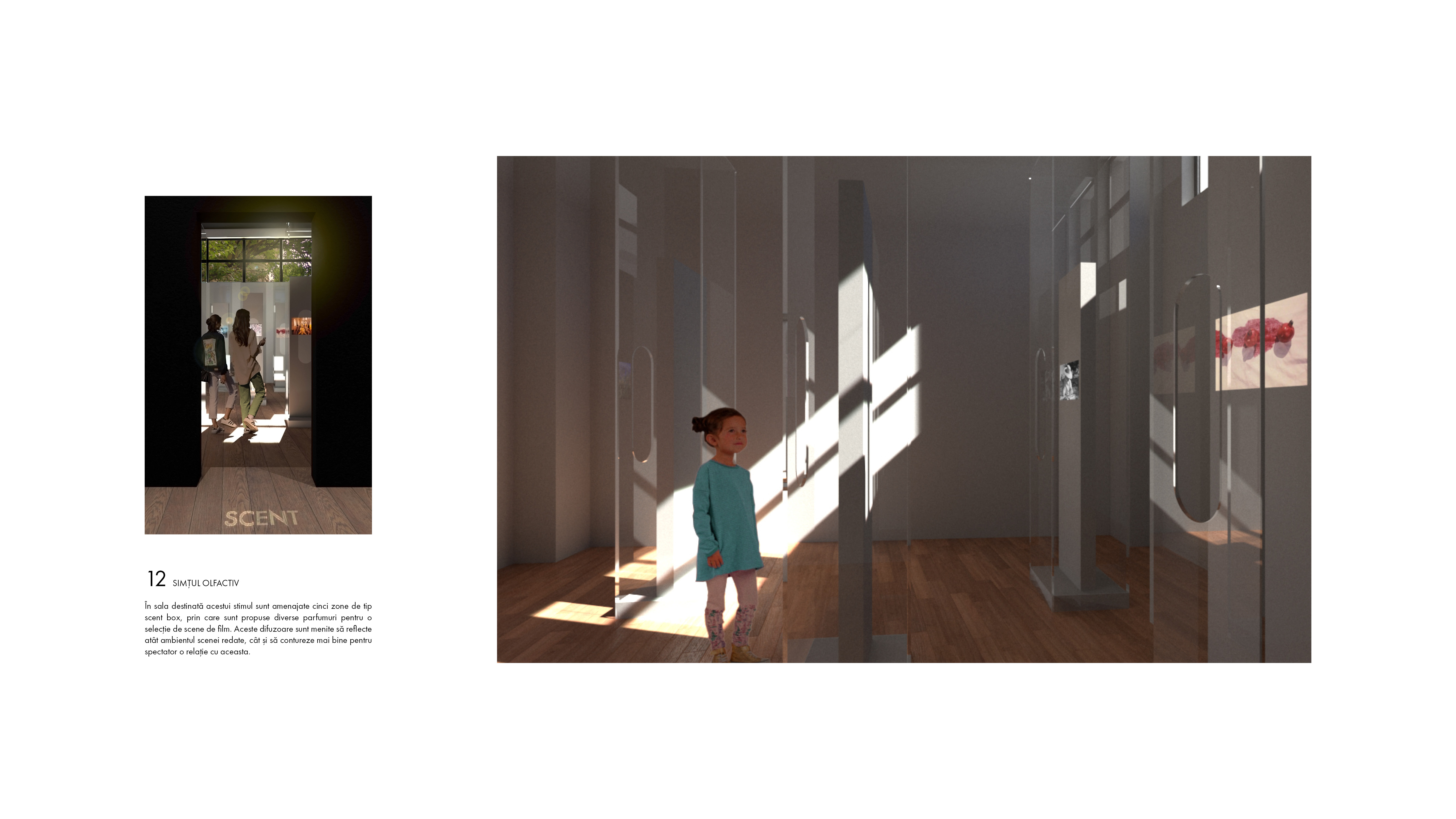 Cinema Patria redesign. Cinematic experiences-17