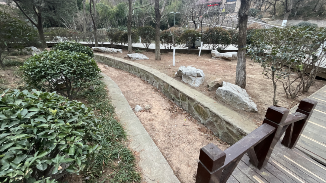 百姓乐园：榉林山焕新归来，悦享自然人文之美-44