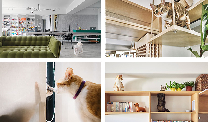 宠物宅设计！专为毛小孩规划-0