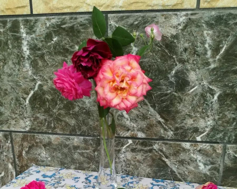 大叔也爱养花，3天造出个小花园，一分钱没花！-72